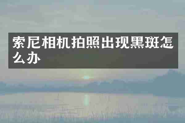 索尼相机拍照出现黑斑怎么办