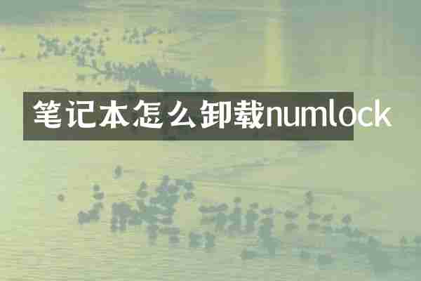 笔记本怎么卸载numlock