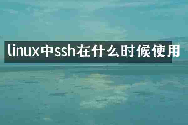 linux中ssh在什么时候使用