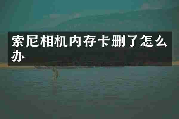 索尼相机内存卡删了怎么办