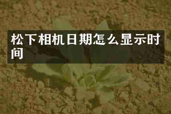 松下相机日期怎么显示时间