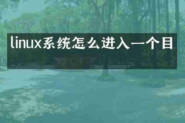 linux系统怎么进入一个目录