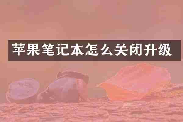 苹果笔记本怎么关闭升级