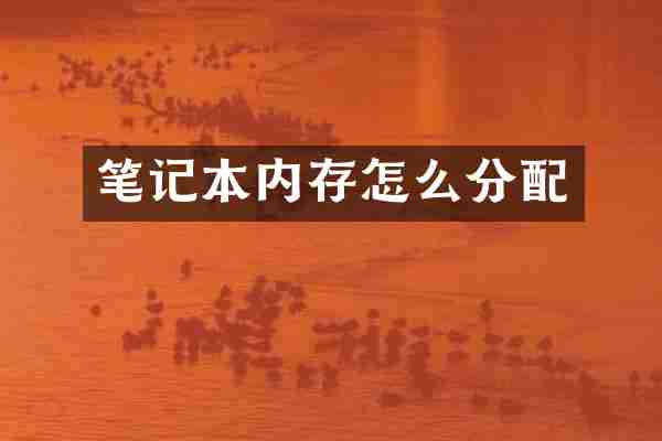 笔记本内存怎么分配