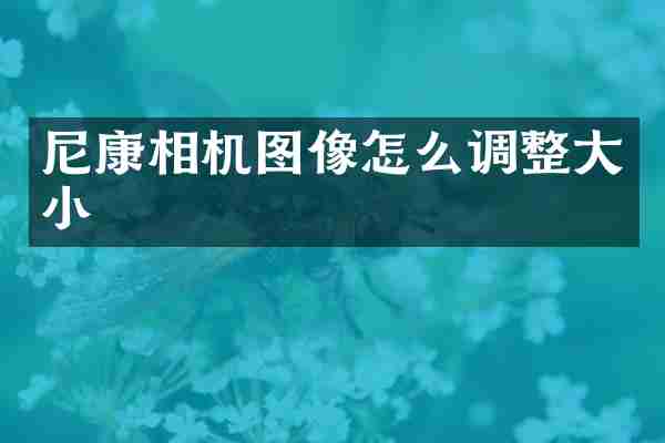 尼康相机图像怎么调整大小