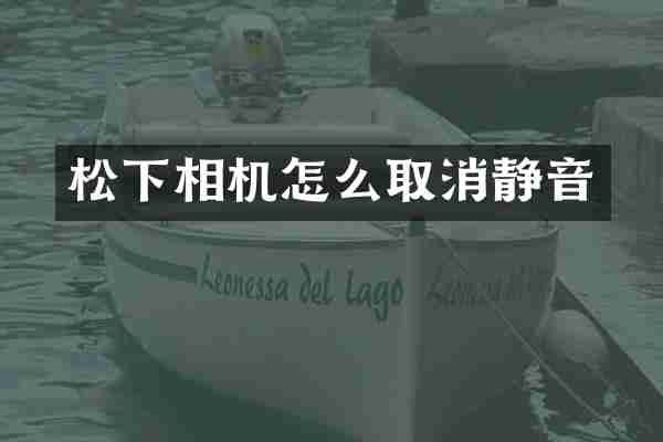 松下相机怎么取消静音