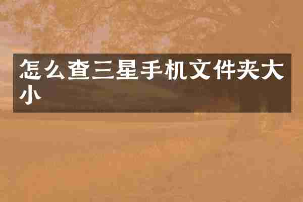 怎么查三星手机文件夹大小