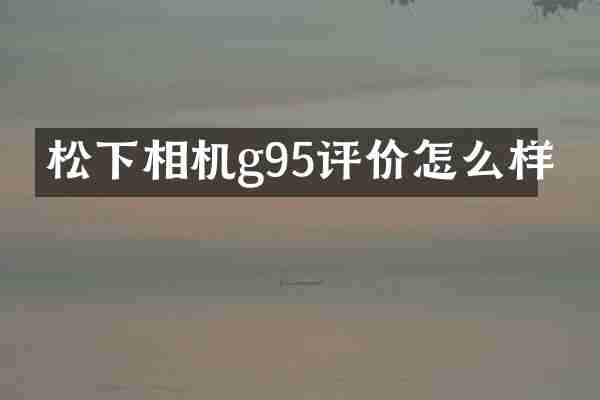 松下相机g95评价怎么样