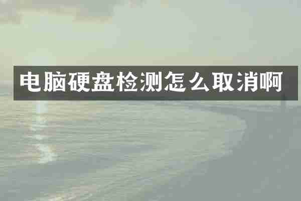 电脑硬盘检测怎么取消啊