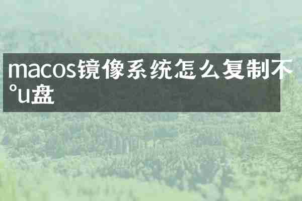 macos镜像系统怎么复制不到u盘