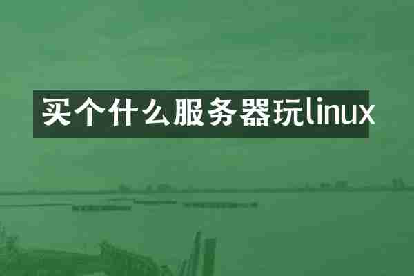 买个什么服务器玩linux