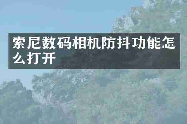 索尼数码相机防抖功能怎么打开