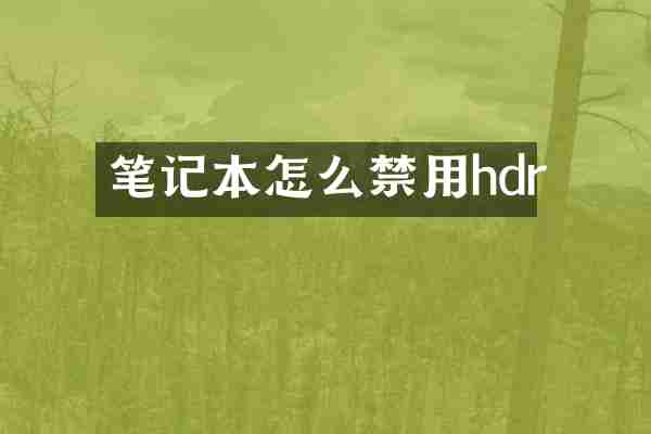 笔记本怎么禁用hdr