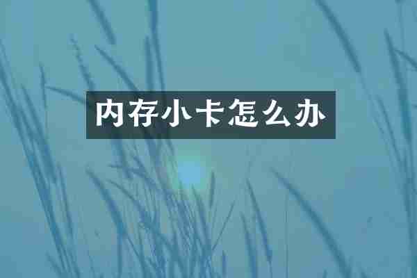 内存小卡怎么办