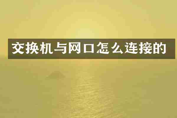 交换机与网口怎么连接的