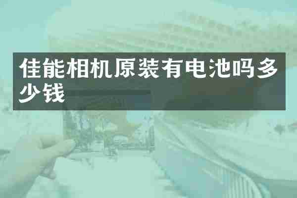 佳能相机原装有电池吗多少钱
