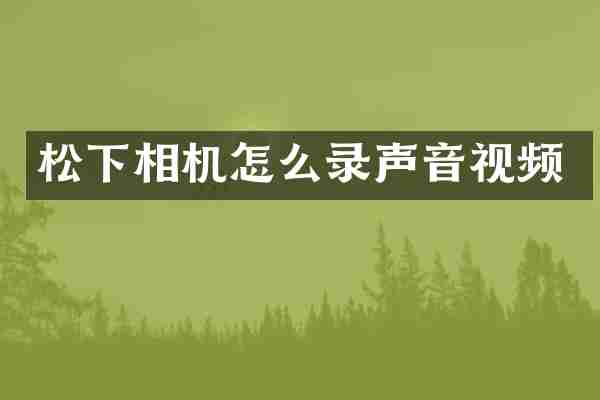 松下相机怎么录声音视频