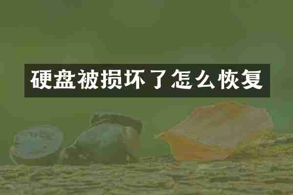 硬盘被损坏了怎么恢复