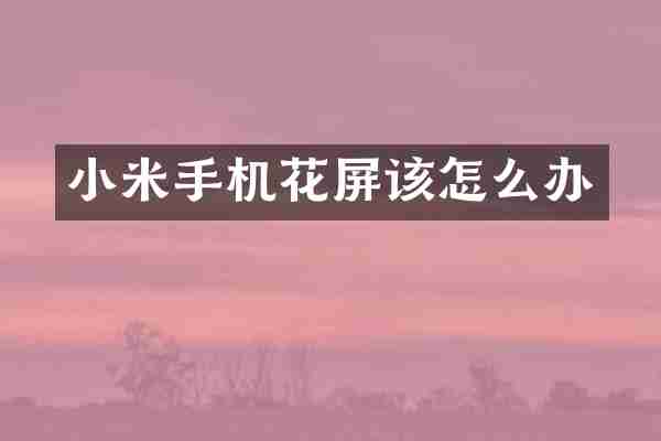 小米手机花屏该怎么办