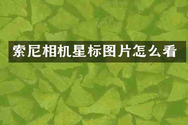 索尼相机星标图片怎么看
