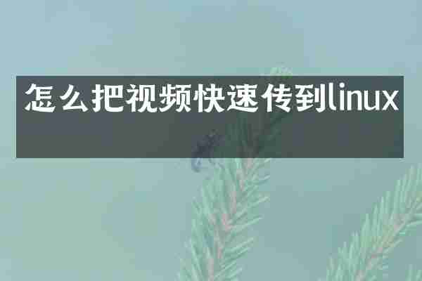 怎么把视频快速传到linux上