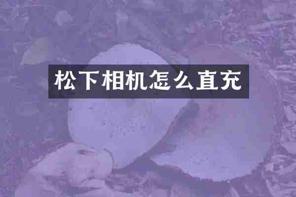 松下相机怎么直充