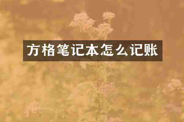 方格笔记本怎么记账