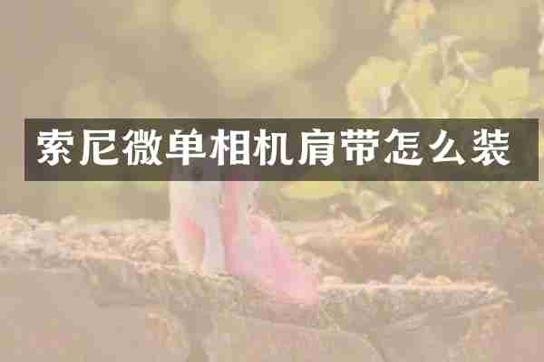 索尼微单相机肩带怎么装
