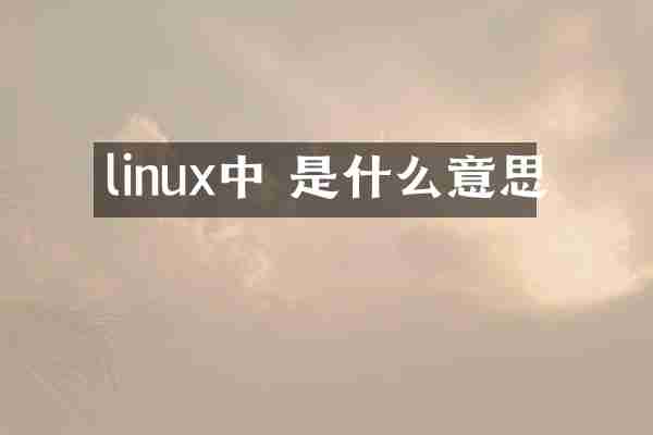 linux中 是什么意思