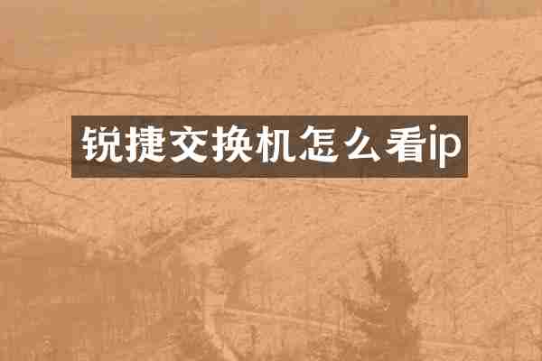 锐捷交换机怎么看ip