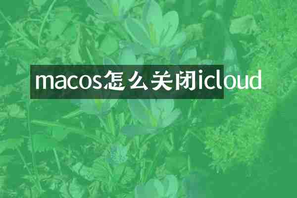 macos怎么关闭icloud