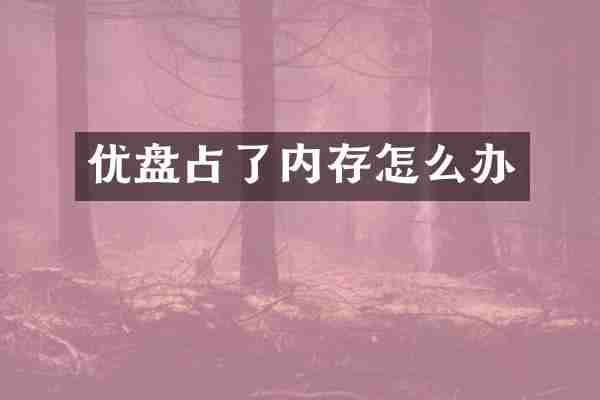 优盘占了内存怎么办