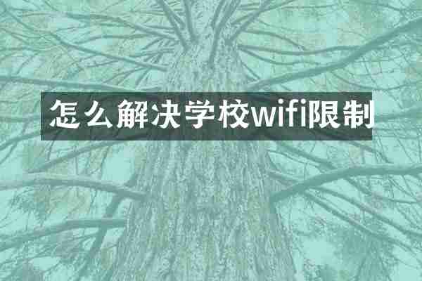 怎么解决学校wifi限制