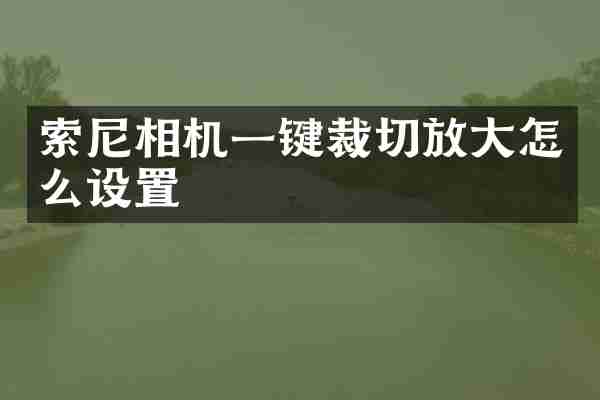 索尼相机一键裁切放大怎么设置