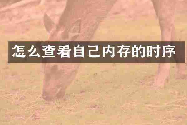 怎么查看自己内存的时序