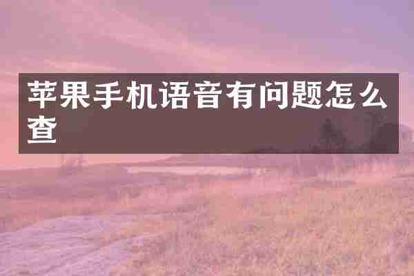 苹果手机语音有问题怎么查
