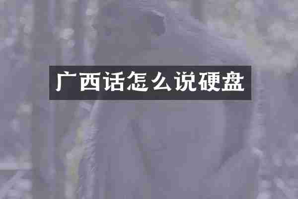 广西话怎么说硬盘