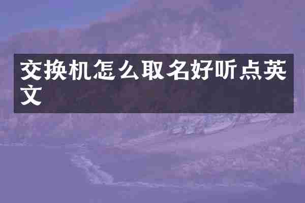 交换机怎么取名好听点英文