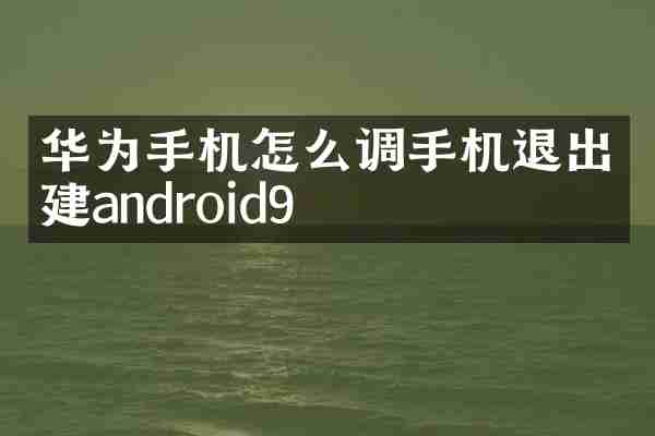 华为手机怎么调手机退出建android9