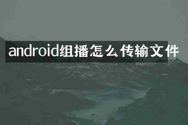 android组播怎么传输文件