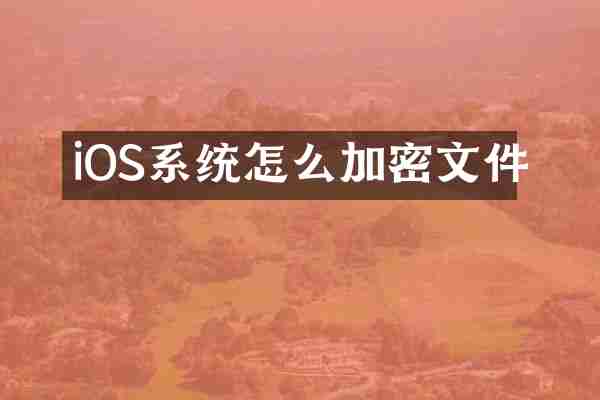 iOS系统怎么加密文件