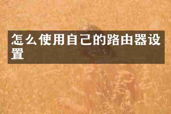 怎么使用自己的路由器设置