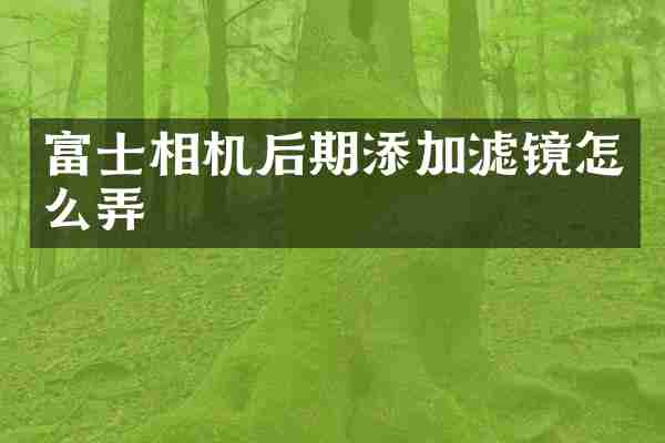 富士相机后期添加滤镜怎么弄
