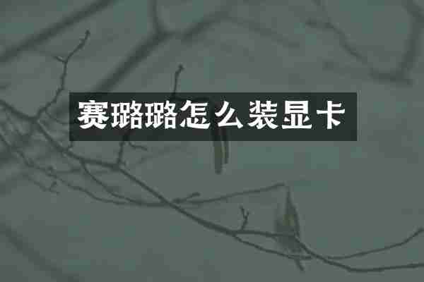 赛璐璐怎么装显卡