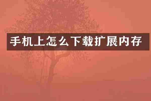 手机上怎么下载扩展内存