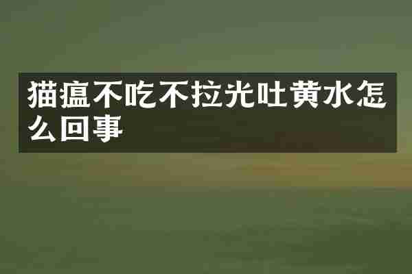 猫瘟不吃不拉光吐黄水怎么回事
