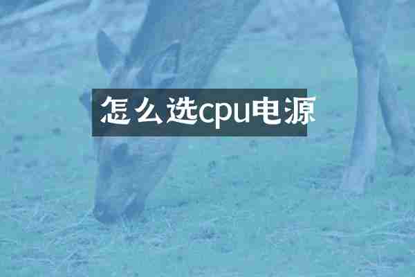 怎么选cpu电源