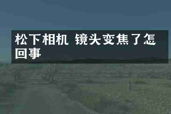 松下相机 镜头变焦了怎么回事