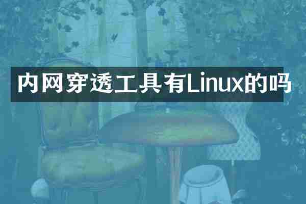 内网穿透工具有Linux的吗