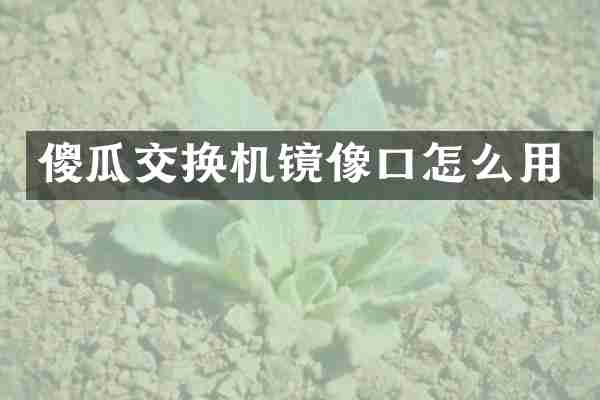 傻瓜交换机镜像口怎么用